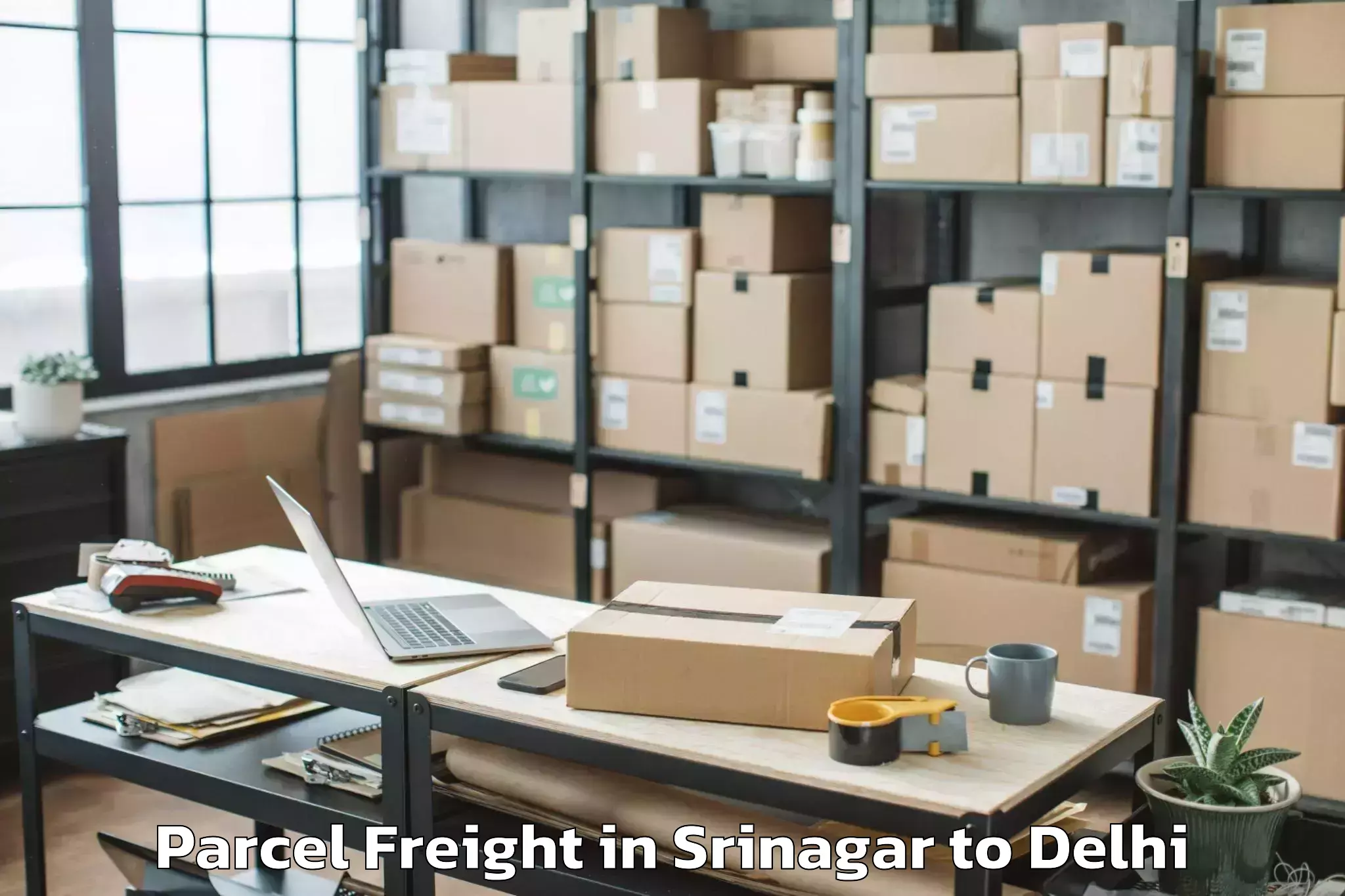 Efficient Srinagar to City Centre Mall Dwarka Parcel Freight